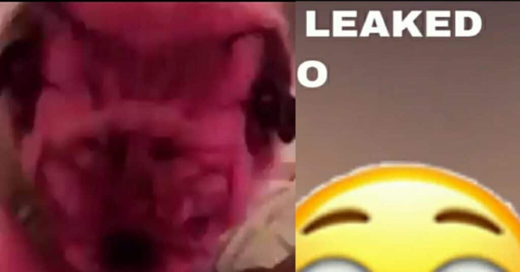 Leah Leaked Video Leah Dog Video All You Need To See About Leah Leak - peter roblox de vries