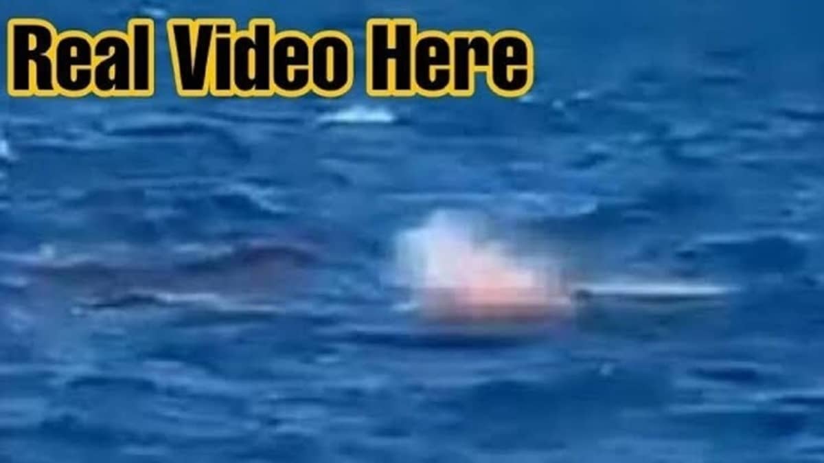 Watch Australia Shark Attack video Unedited Video of Shark Attack in